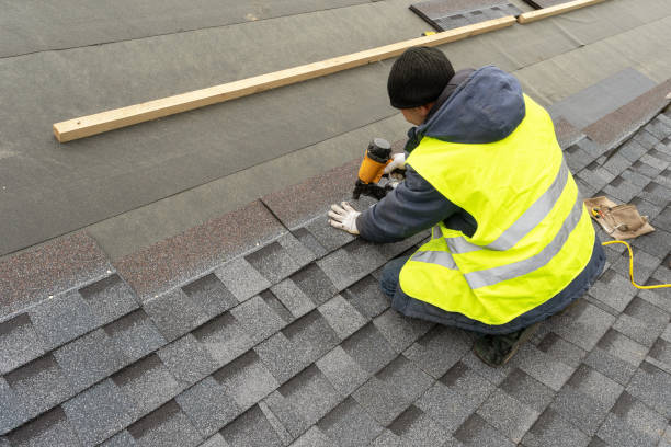 Roof Gutter Cleaning in Elgin, TX